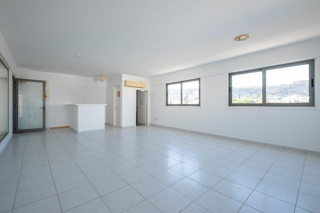 Office and shop in Voroklini, Larnaca photo 13