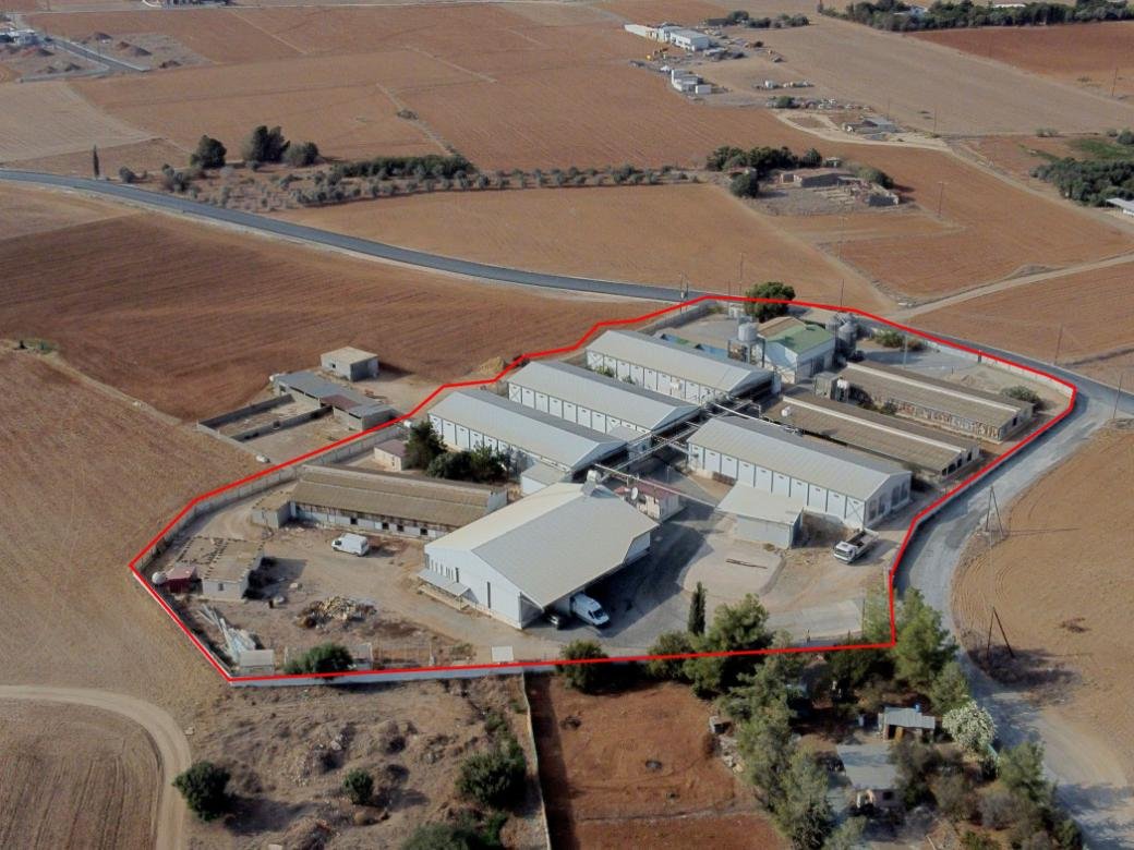 Farm in Xylotymvou, Larnaca photo 3