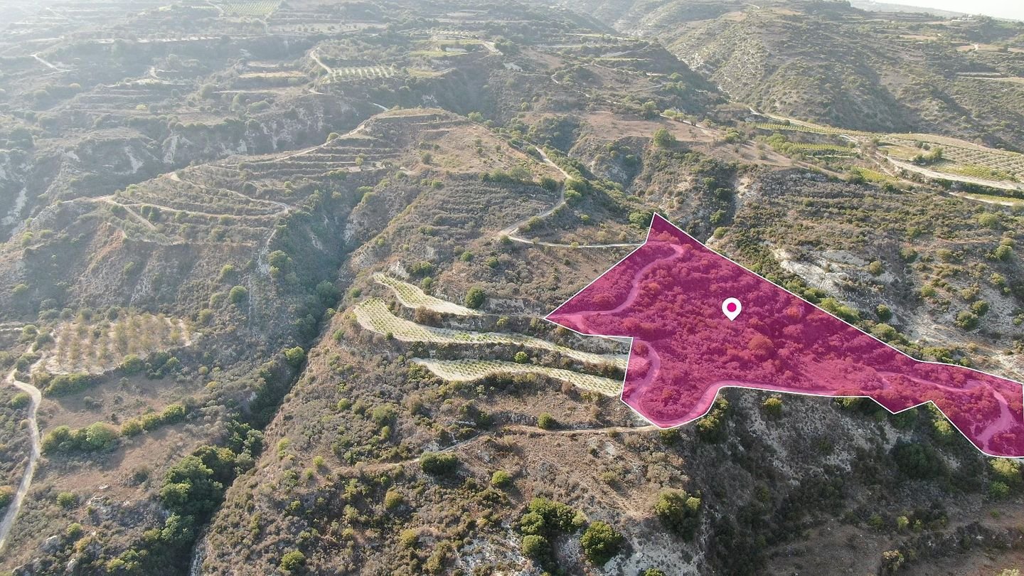 Agricultural Field, Theletra, Paphos photo 3