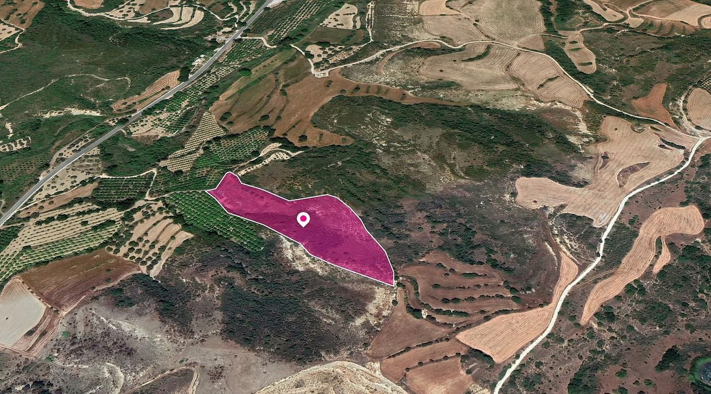 Shared Agricultural Field, Kato Akourdaleia, Paphos photo 3