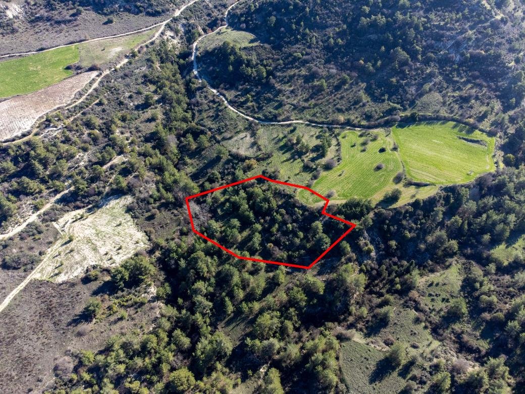 Field in Mousere, Paphos photo 1