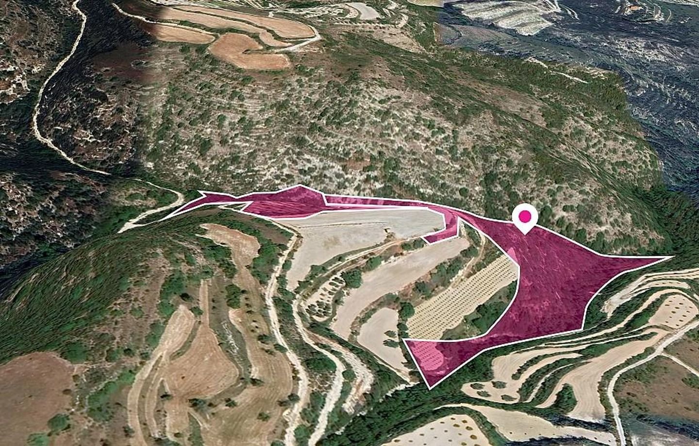 Two Agricultural and Special protection fields in Theletra, Paphos photo 4