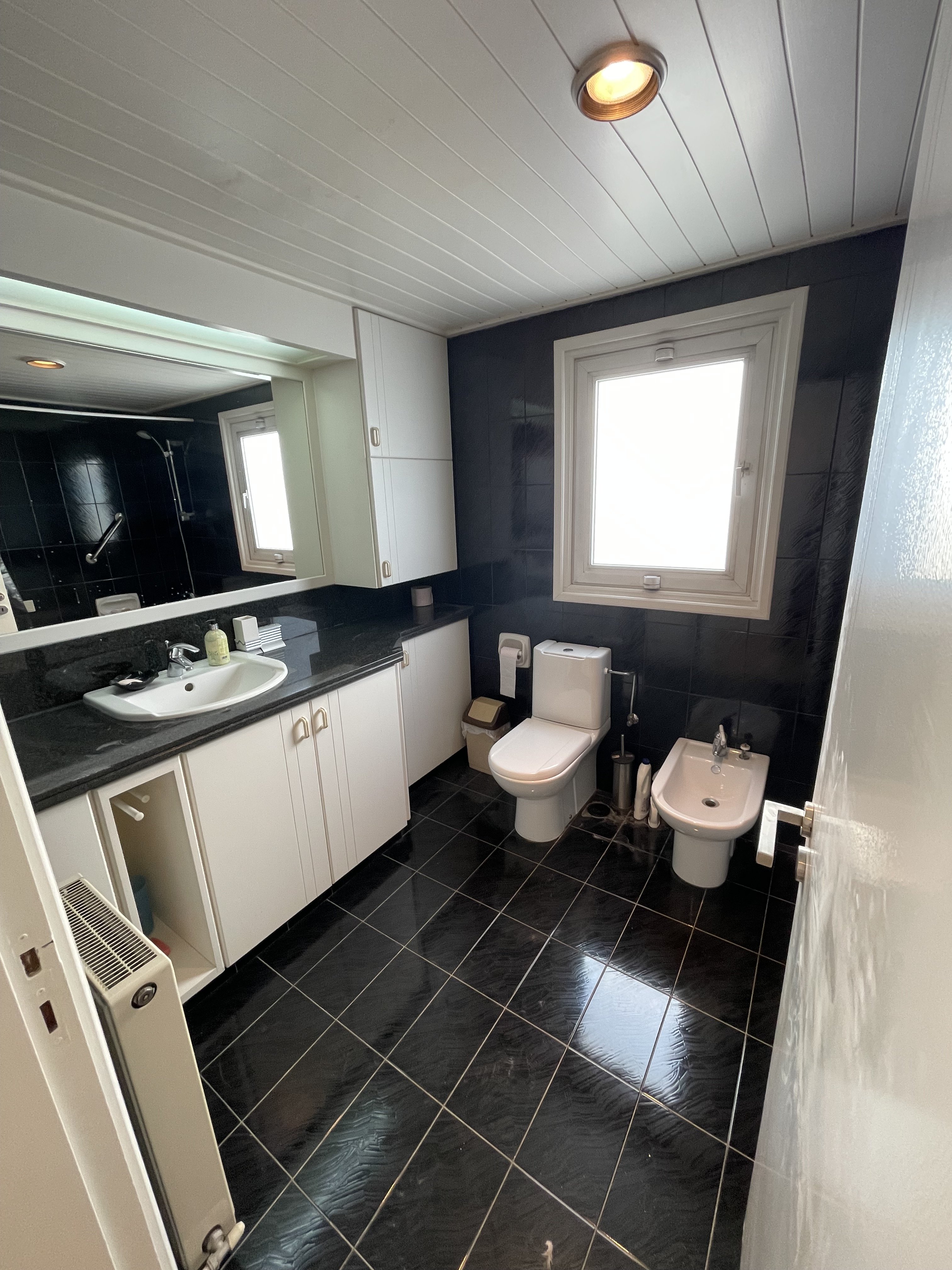 3BR villa in Nicosia photo 14