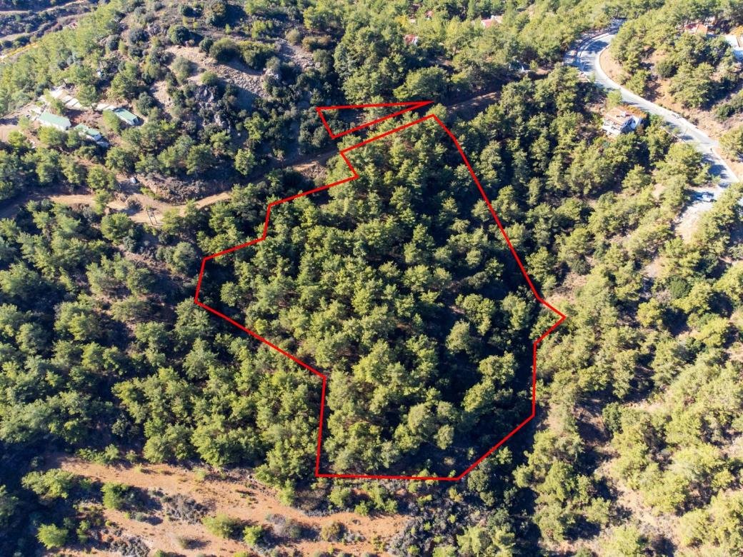 Shared residential fields in Vavatsinia, Larnaca photo 2