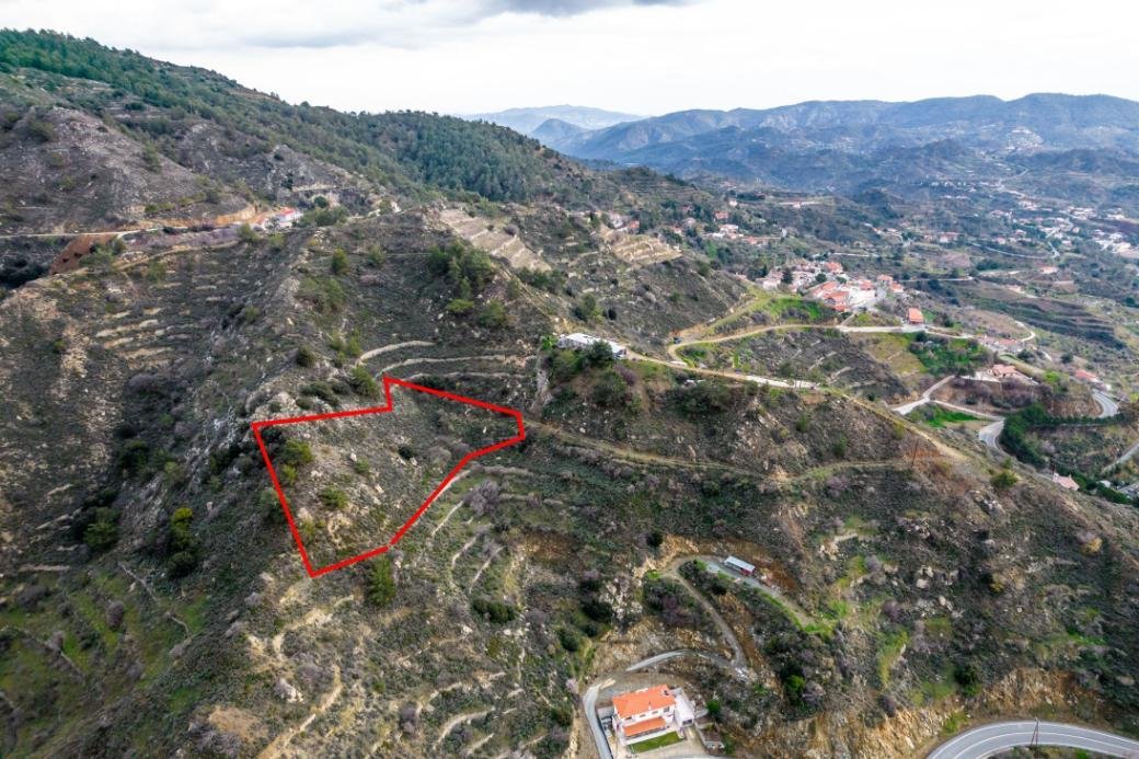 Shared agricultural field in Zoopigi, Limassol photo 5