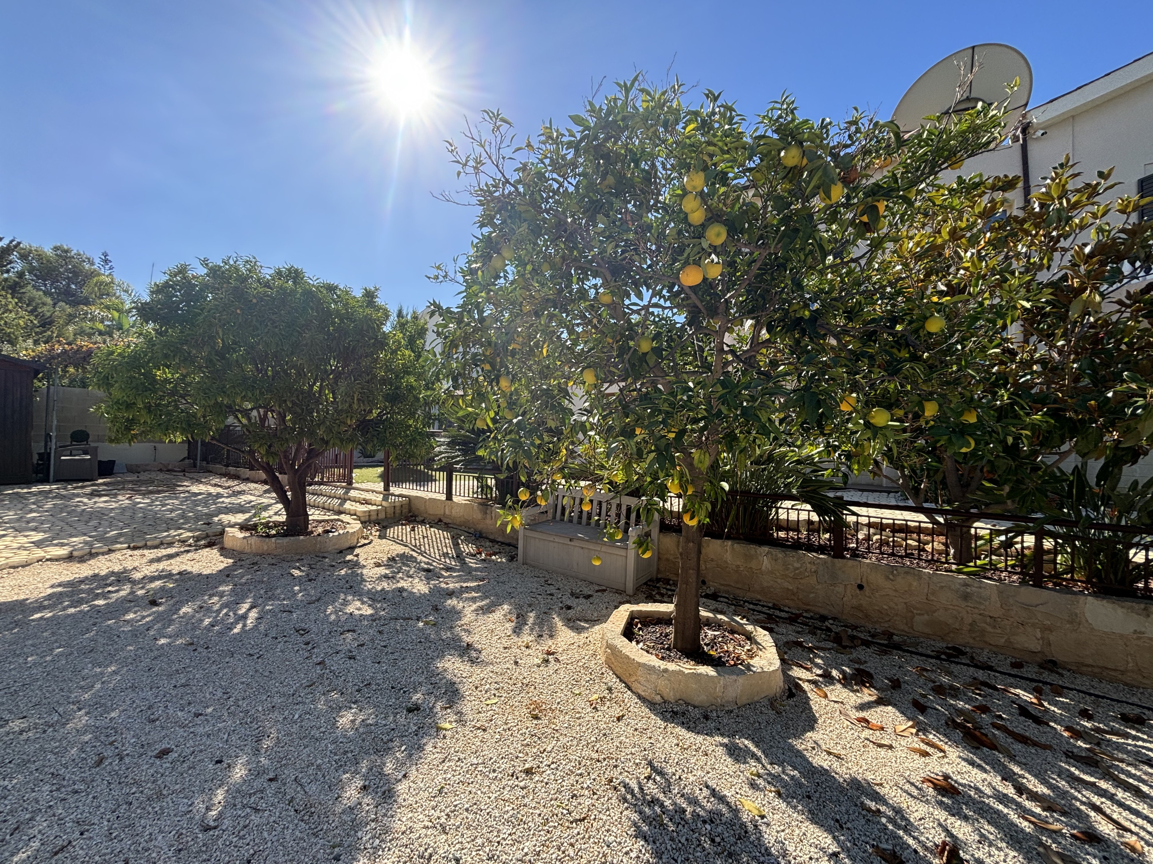 4 BR Villa in Kouklia, Paphos photo 28