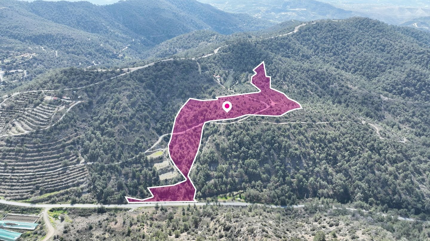 Agricultural Field, Louvaras, Limassol photo 4