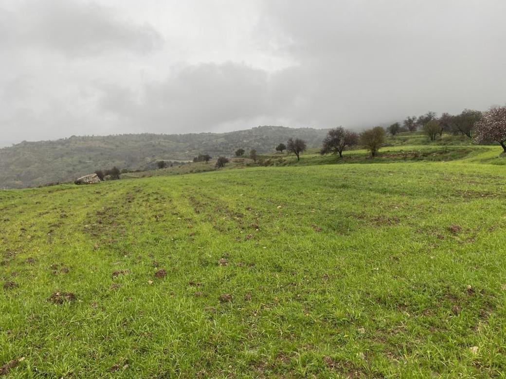 Shared residential field in Kelokedara, Paphos photo 2