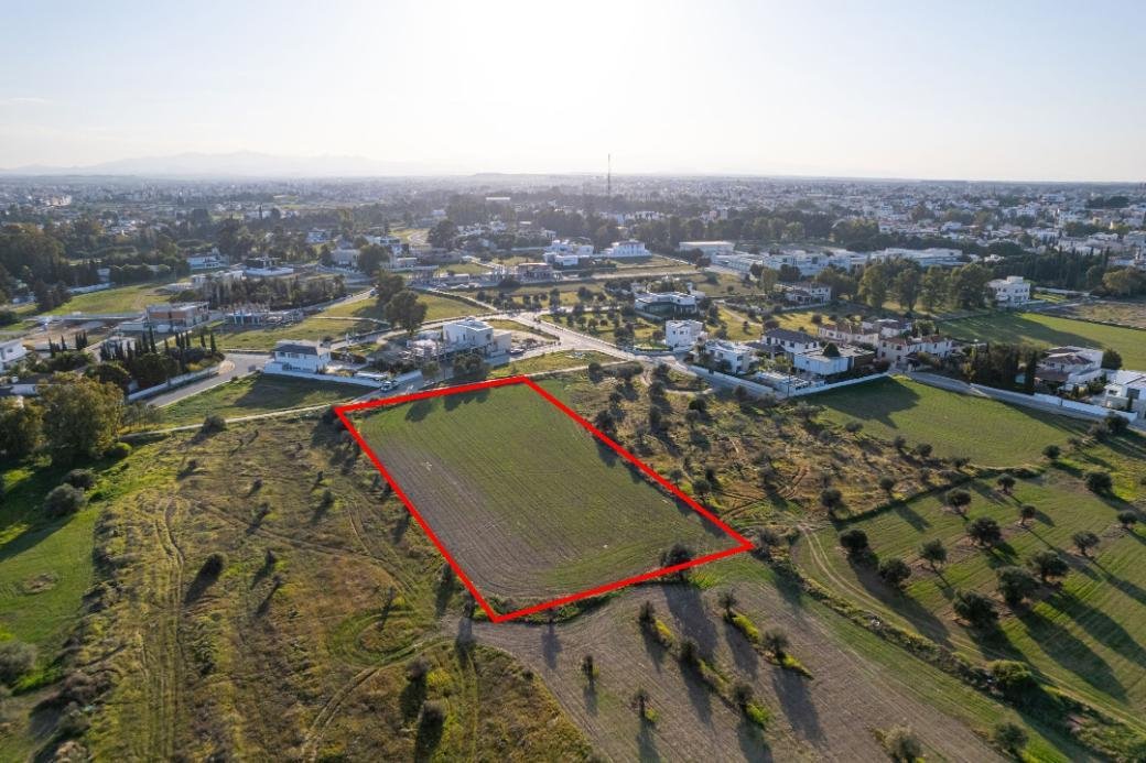 Shared residential field in Chryseleousa, Strovolos photo 6