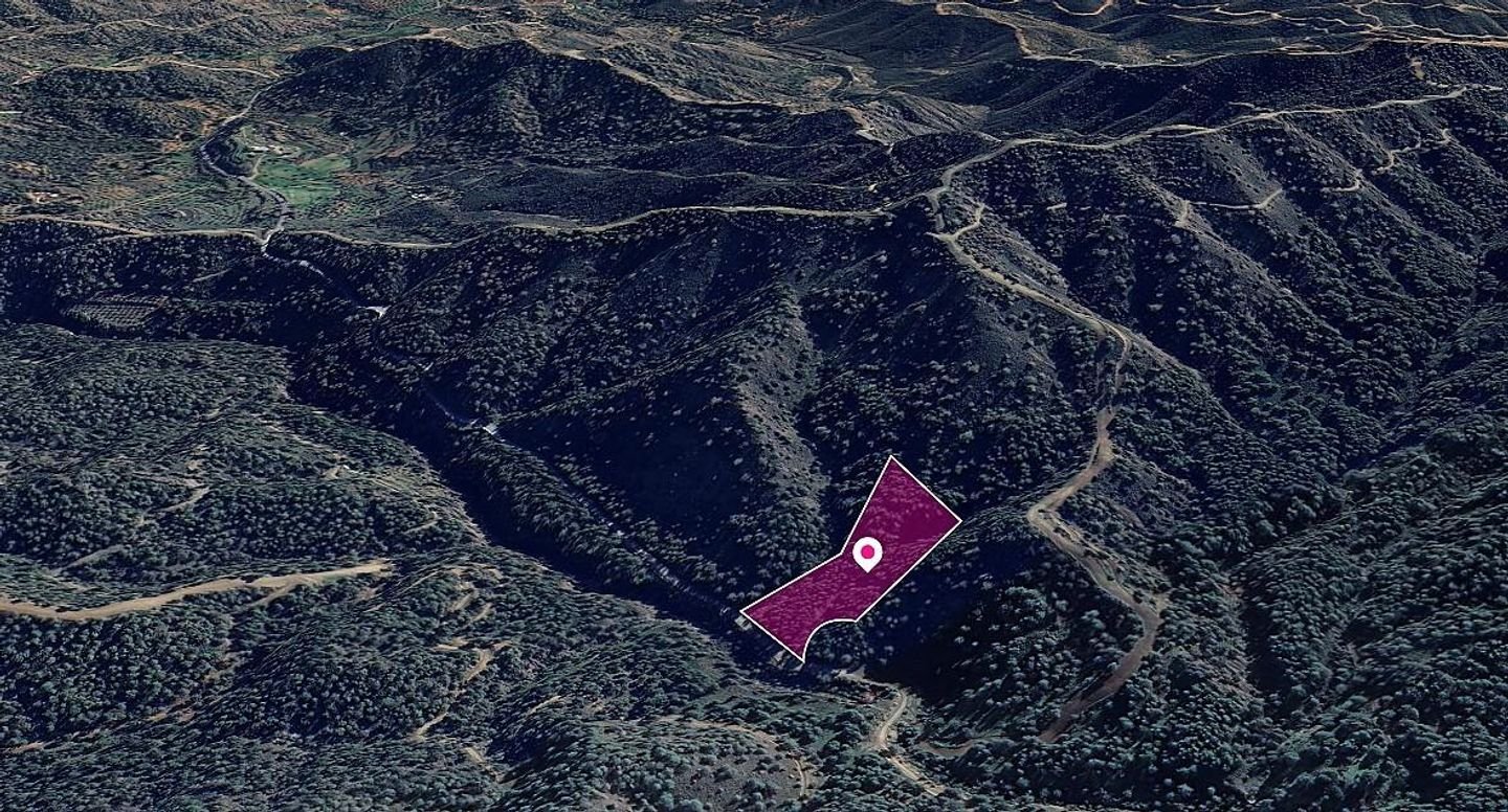 50% share of agricultural field in Kapedes, Nicosia photo 2