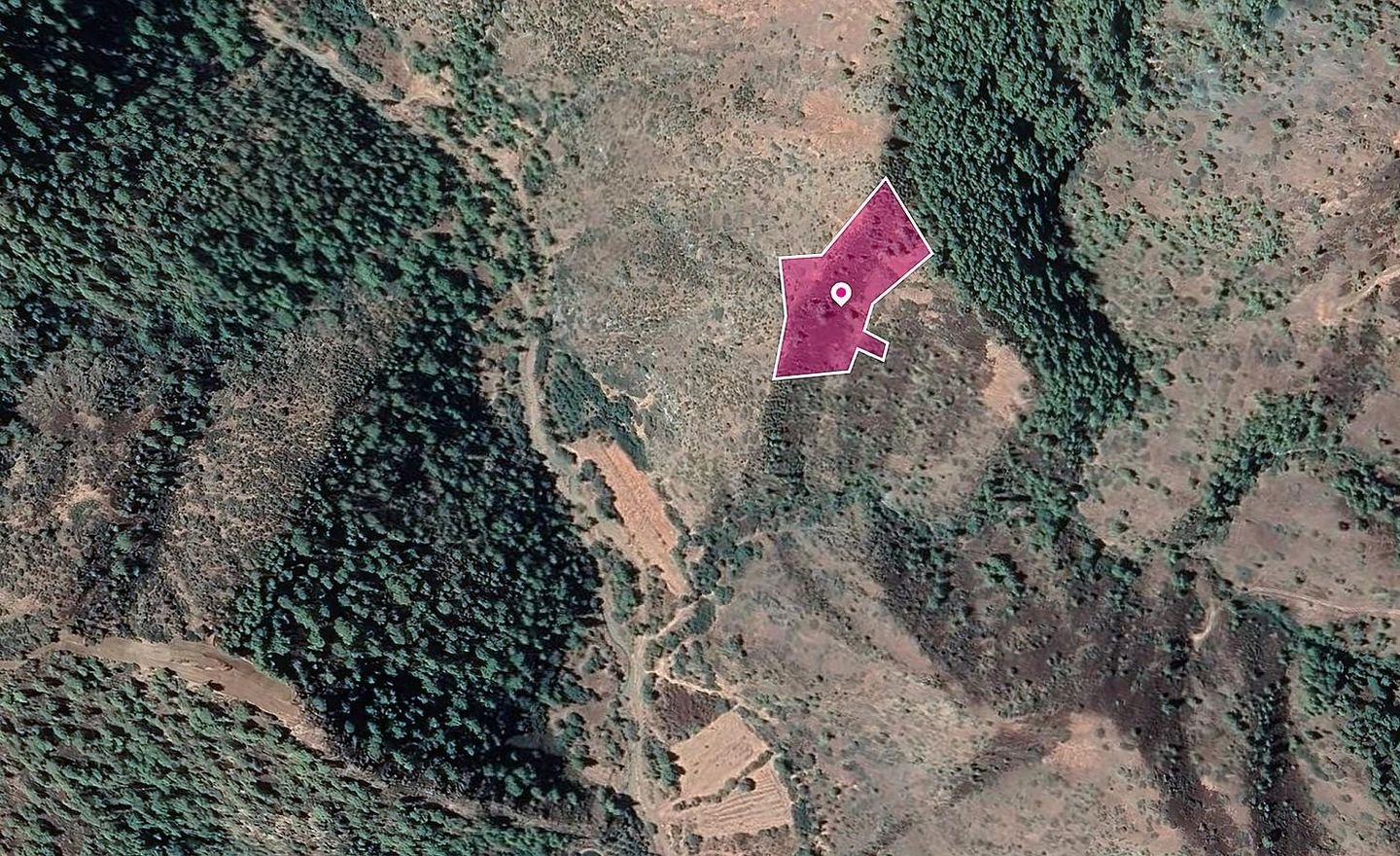 Agricultural field in Pigenia, Nicosia photo 2