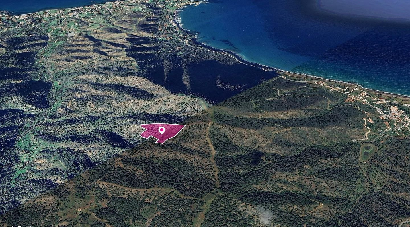 (Share) Field, Pomos, Paphos photo 2