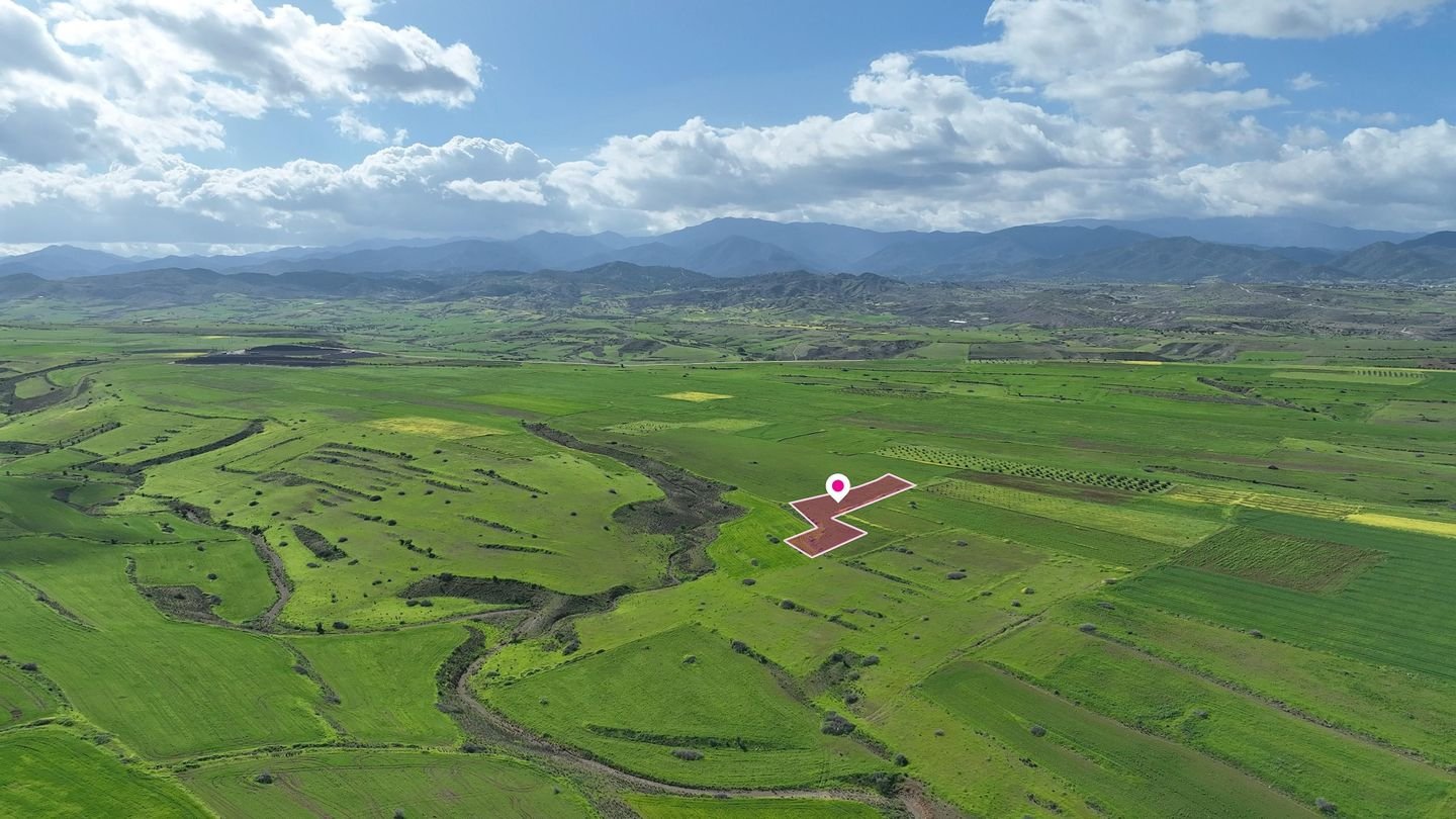 Livestock field in Peristerona, Nicosia photo 4
