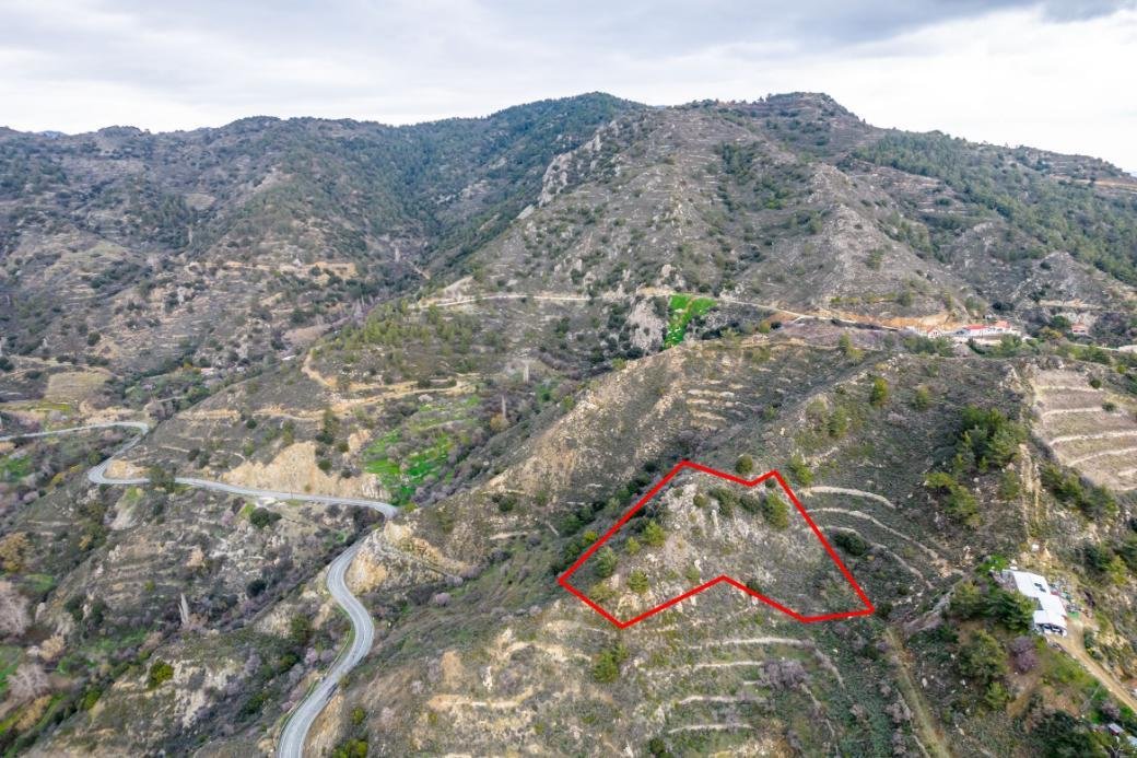 Shared agricultural field in Zoopigi, Limassol photo 2