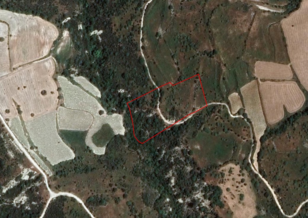 Field in Dora, Limassol photo 1