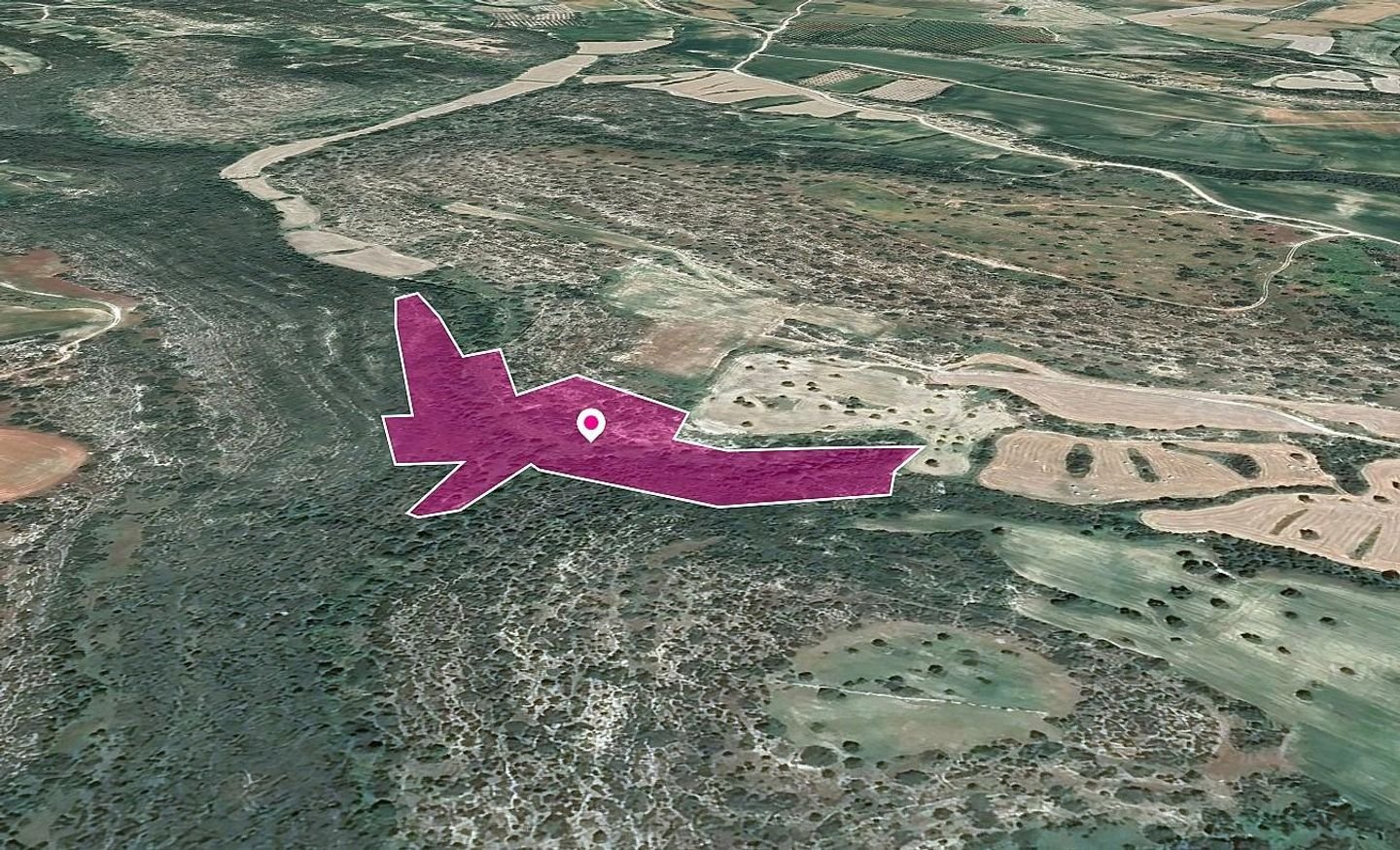 Field in Agios Theodoros, Larnaca photo 3