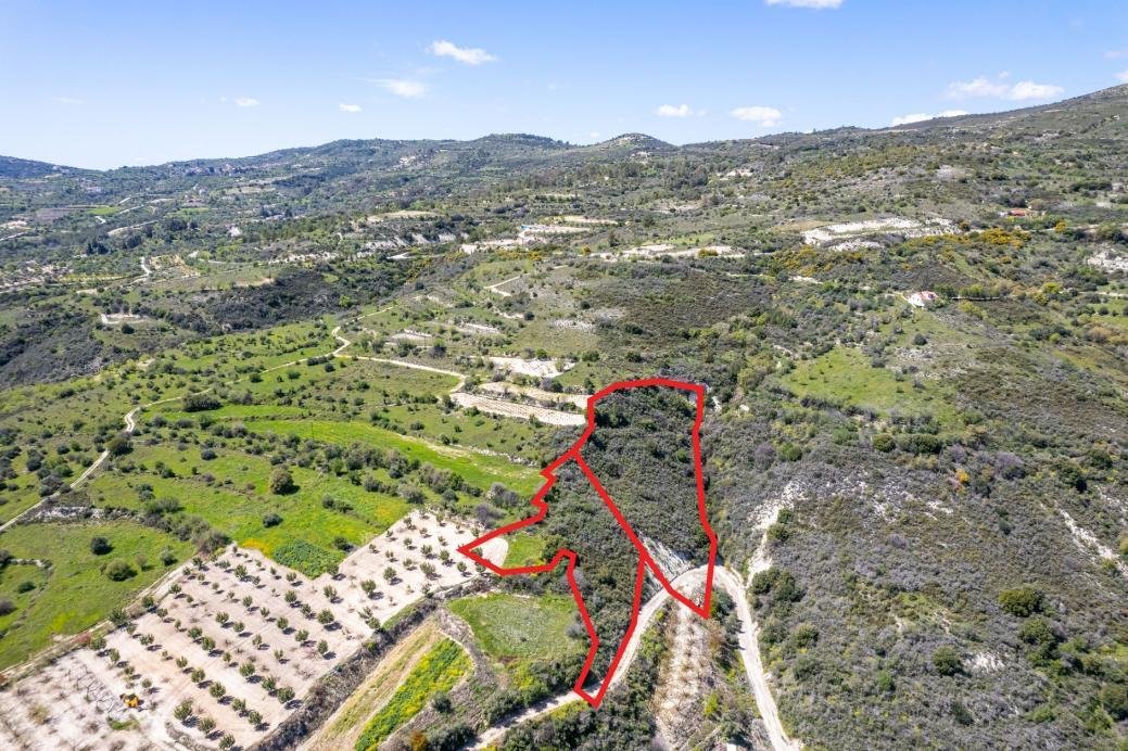 Shared agricultural fields in Arminou, Paphos photo 3