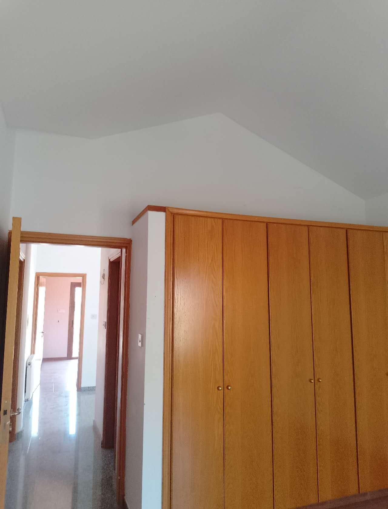 4 BR Villa in Mouttagiaka, Limassol photo 10