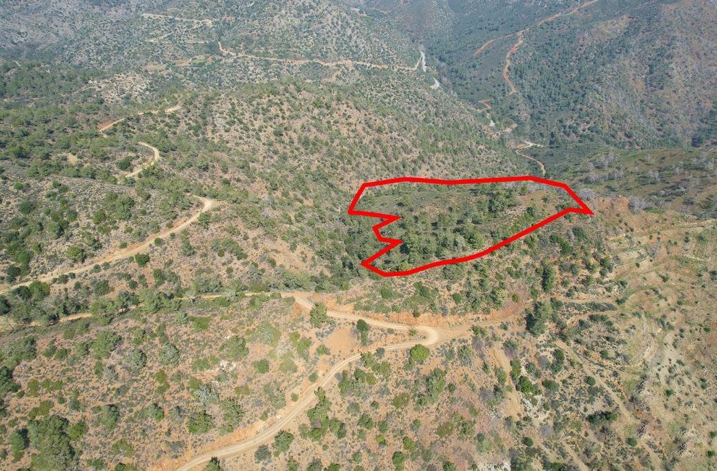 Field in Arakapas, Limassol photo 3