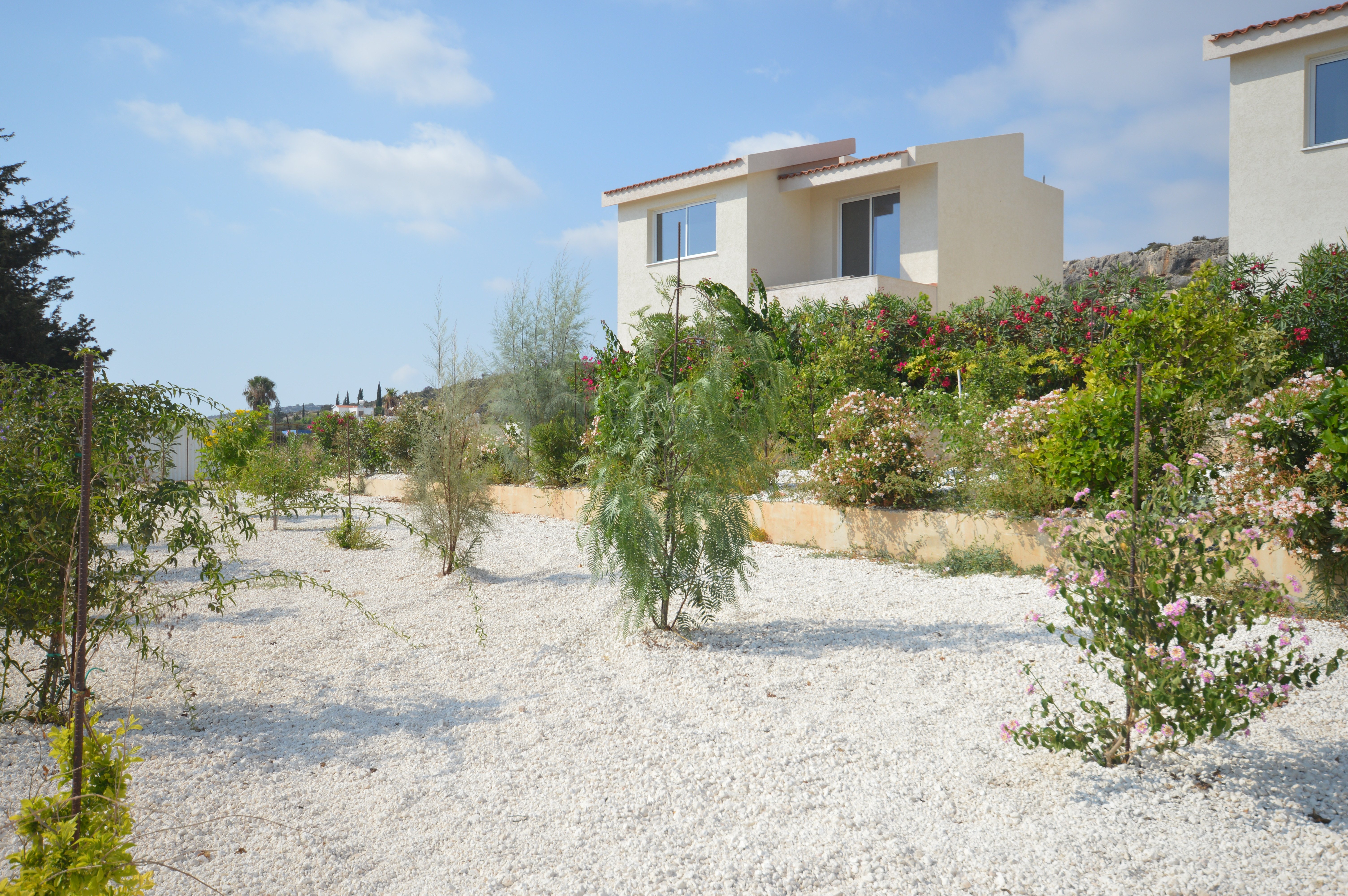 3 BR Villa in Pegeia, Paphos photo 2