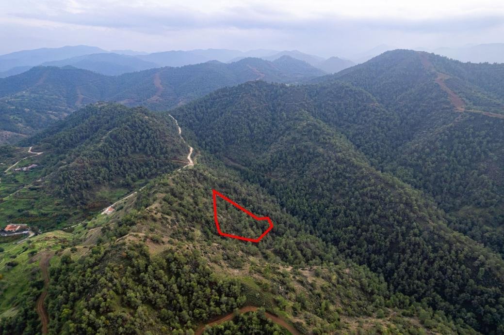 Agricultural field in Pano Pyrgos, Nicosia photo 3