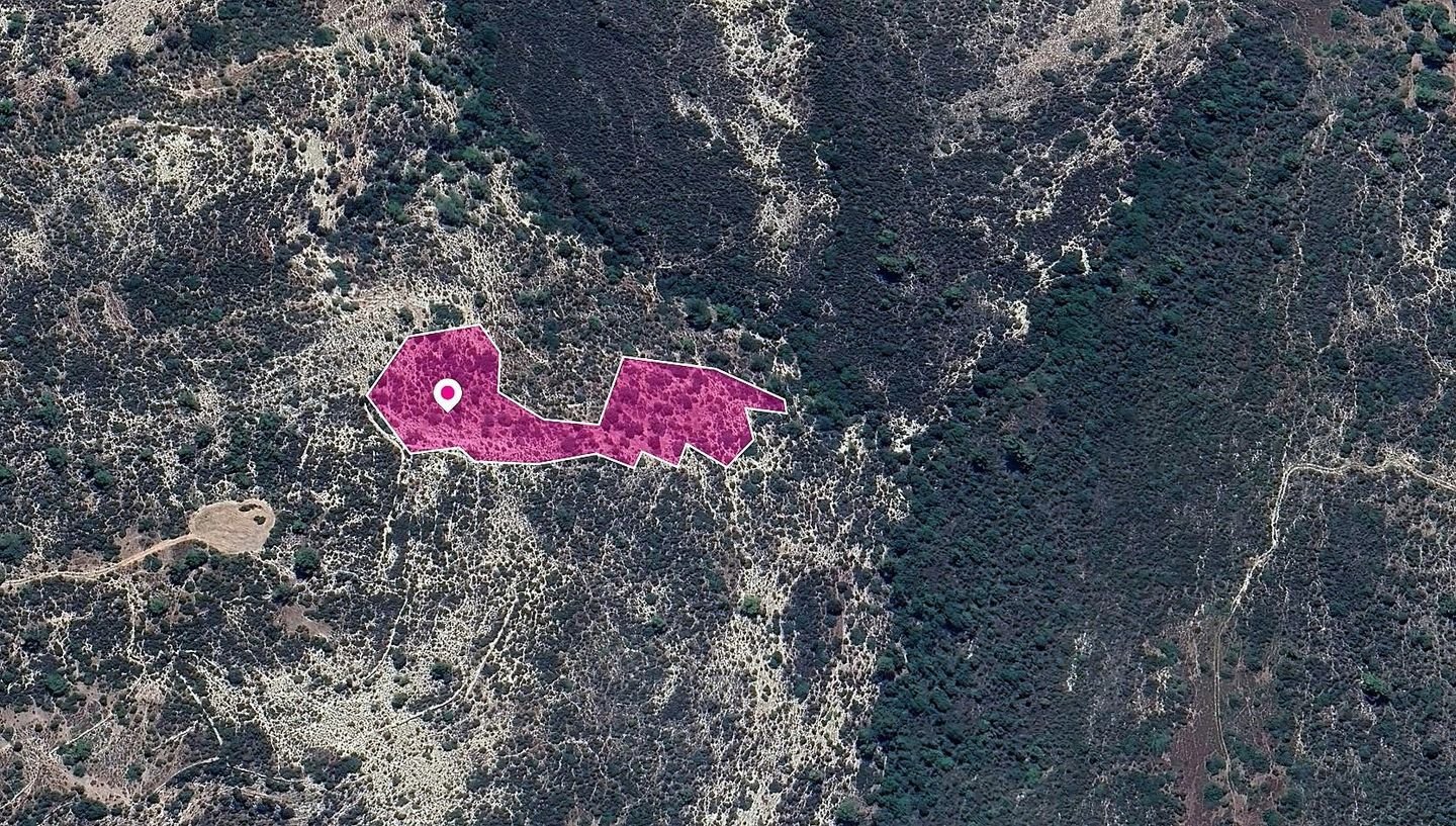 Field, Anogyra, Limassol photo 2