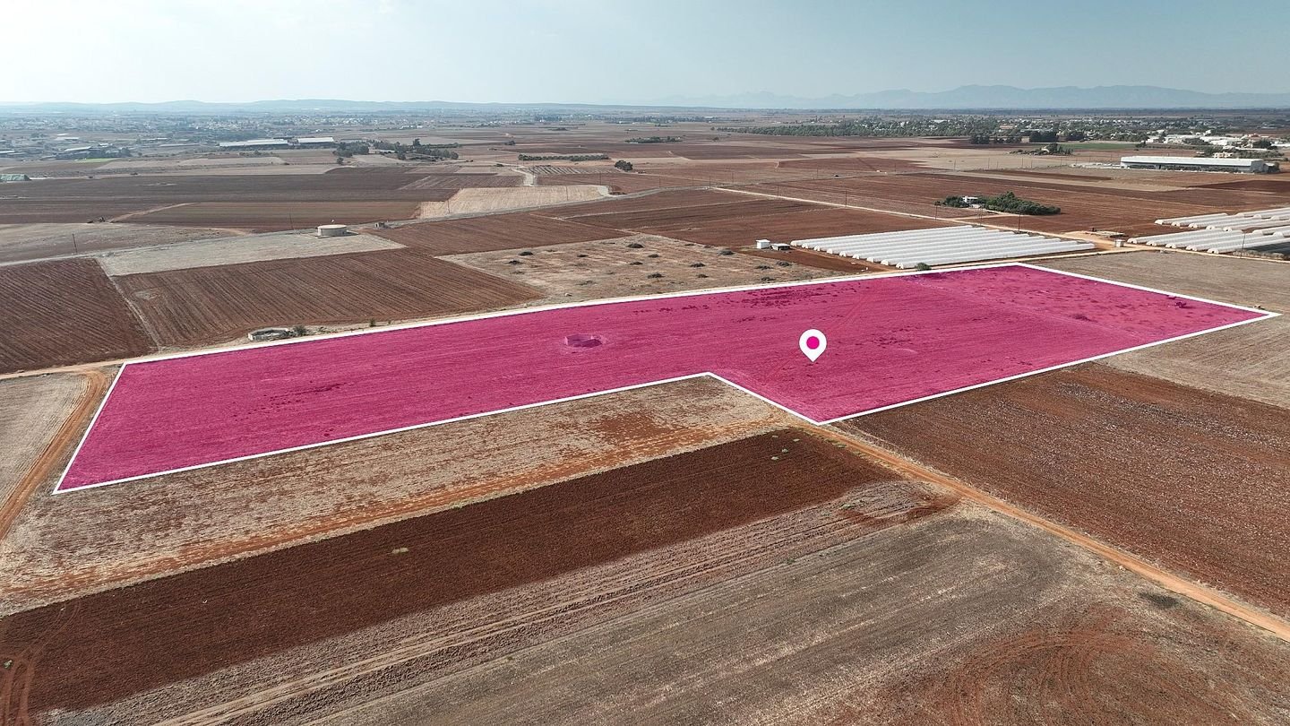Share of an Agricultural field in Ormideia, Larnaca photo 3