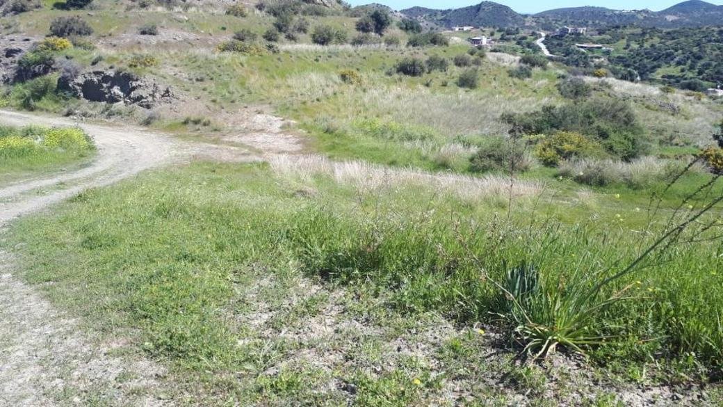 Residential field in Kato Pyrgos, Nicosia photo 3