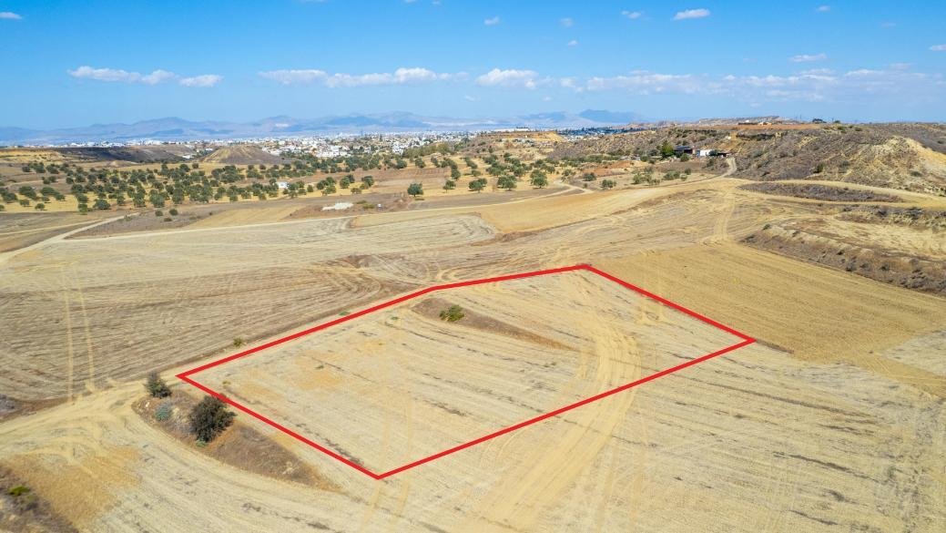 Shared agricultural field in Tseri, Nicosia photo 2