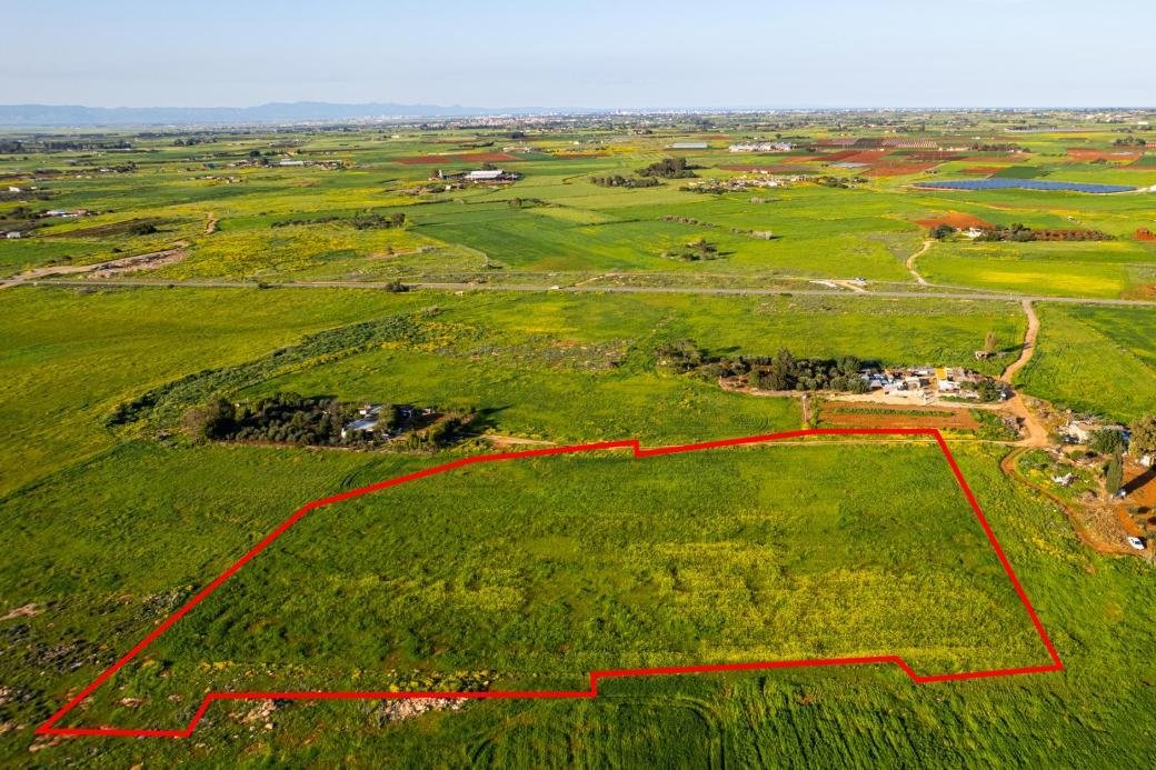 Shared agricultural field in Avgorou, Famagusta photo 3