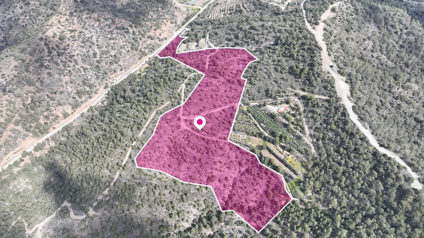 Agricultural Field, Louvaras, Limassol photo 2