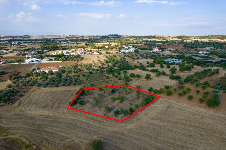 Residential field in Klirou, Nicosia photo 3