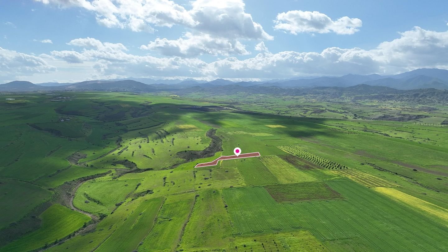 Livestock field in Peristerona, Nicosia photo 3