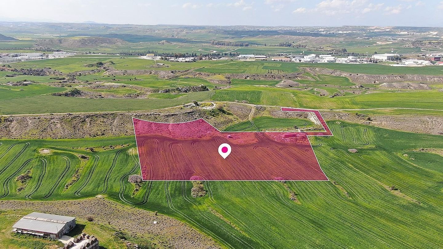 Agricultural field, Nisou photo 1