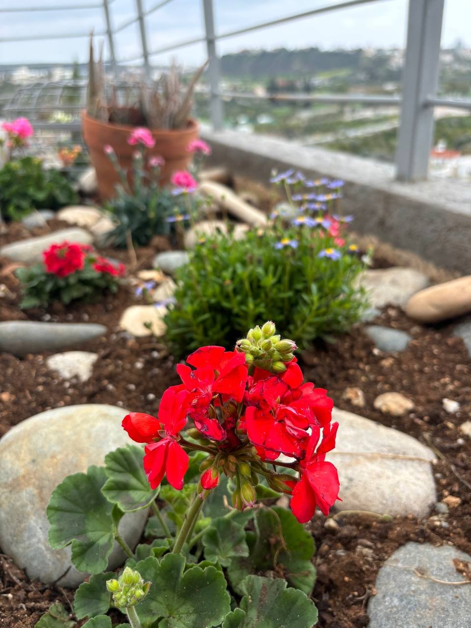 3 BR Apartment in Germasogeia, Limassol photo 23