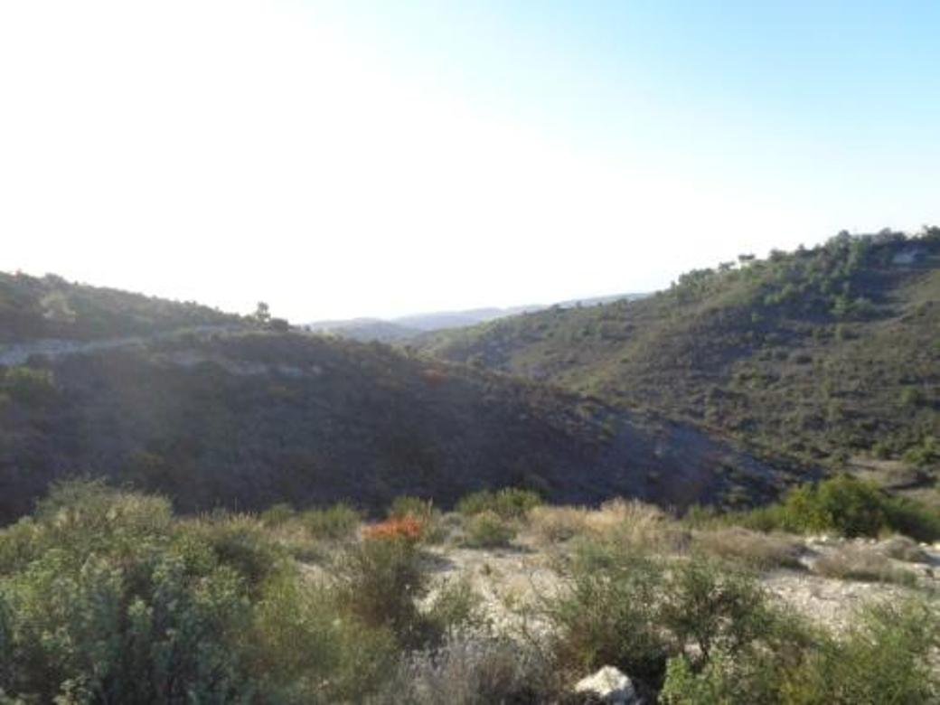 Agricultural field in Asgata, Limassol photo 3