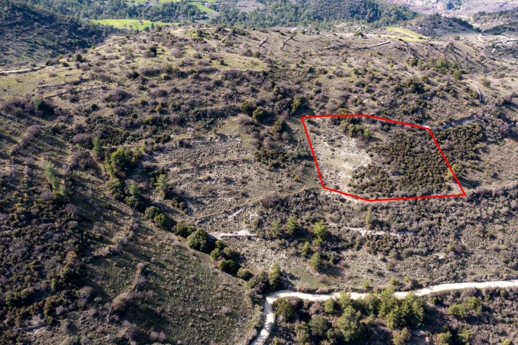 Field in Dora, Limassol photo 2