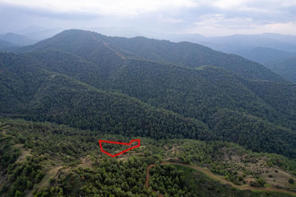 Agricultural field in Pano Pyrgos, Nicosia photo 4