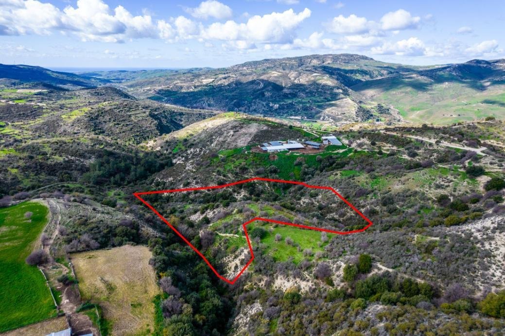 Field in Dora, Limassol photo 2