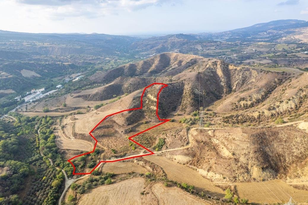 Shared agricultural field in Giolou, Paphos photo 3