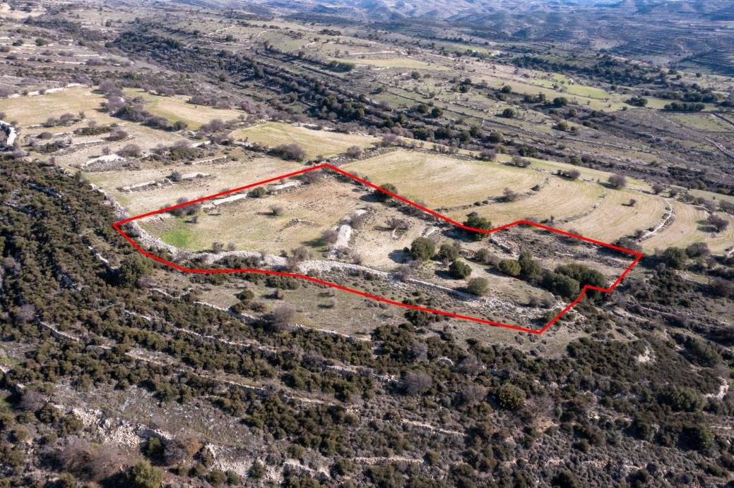 Field in Dora, Limassol photo 2