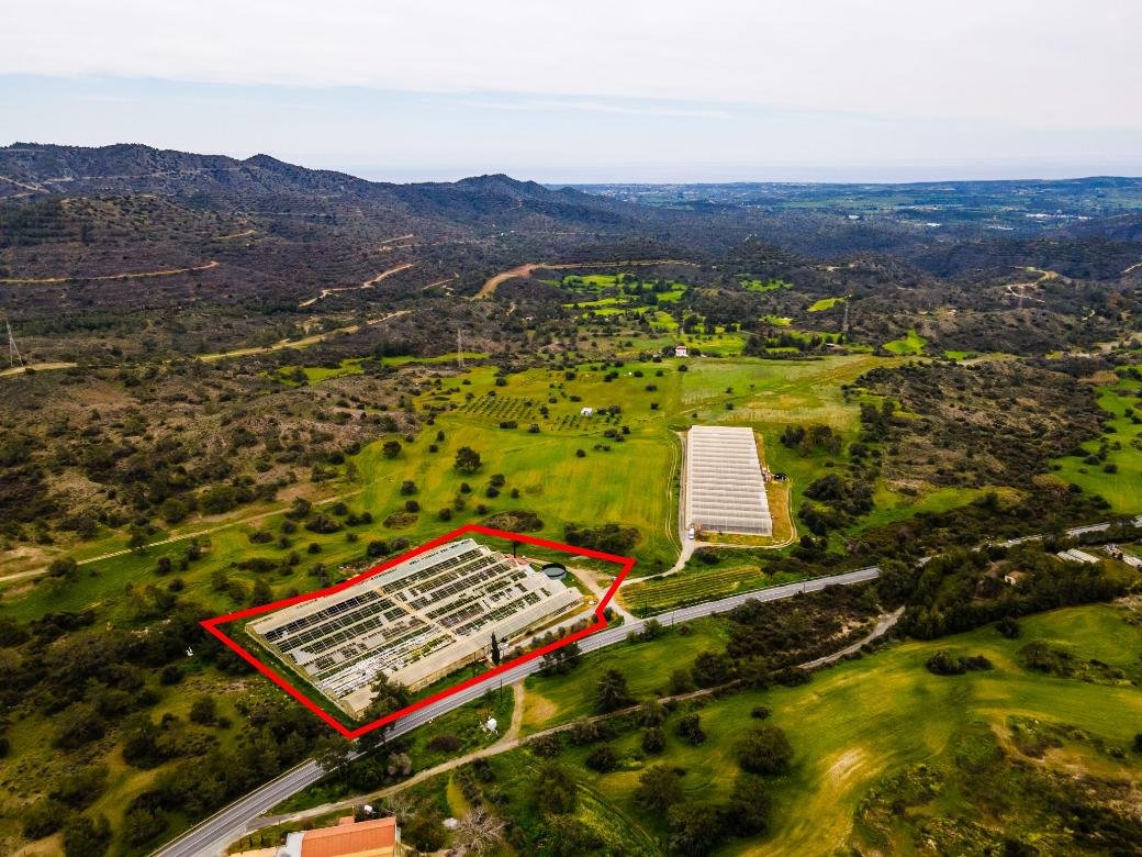 Field in Kornos, Larnaca photo 2