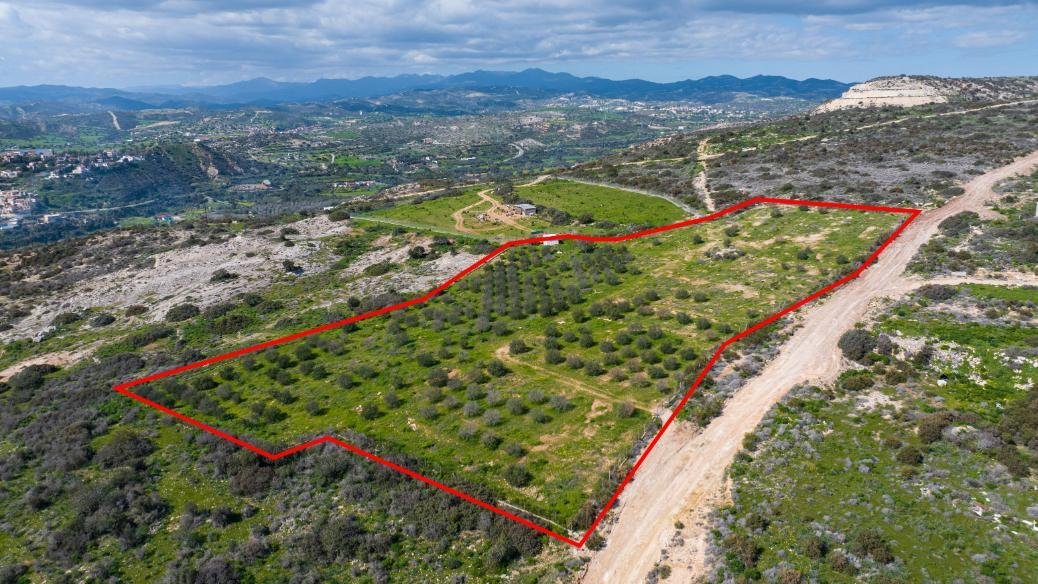 Field in Maroni, Larnaca photo 3