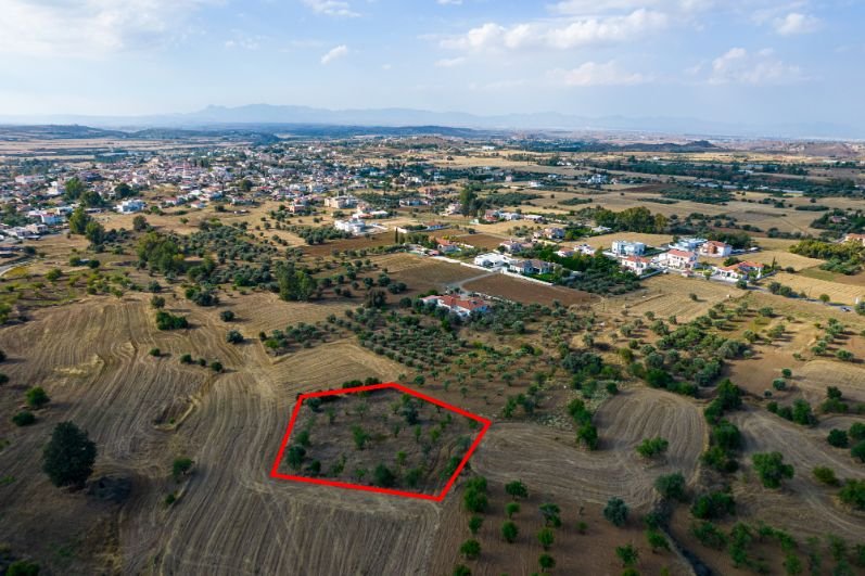 Residential field in Klirou, Nicosia photo 4