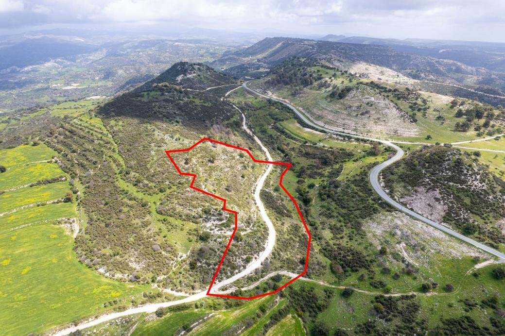 Shared field in Mousere, Paphos photo 4