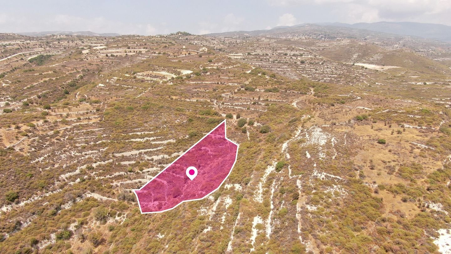 (Share) Agricultural field in Vouni, Limassol photo 4