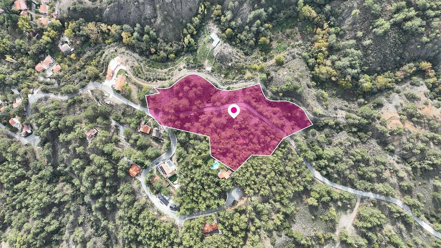 (Share) Residential field in Pera Pedi, Limassol photo 3