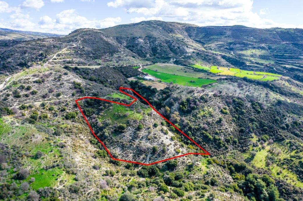 Field in Dora, Limassol photo 3