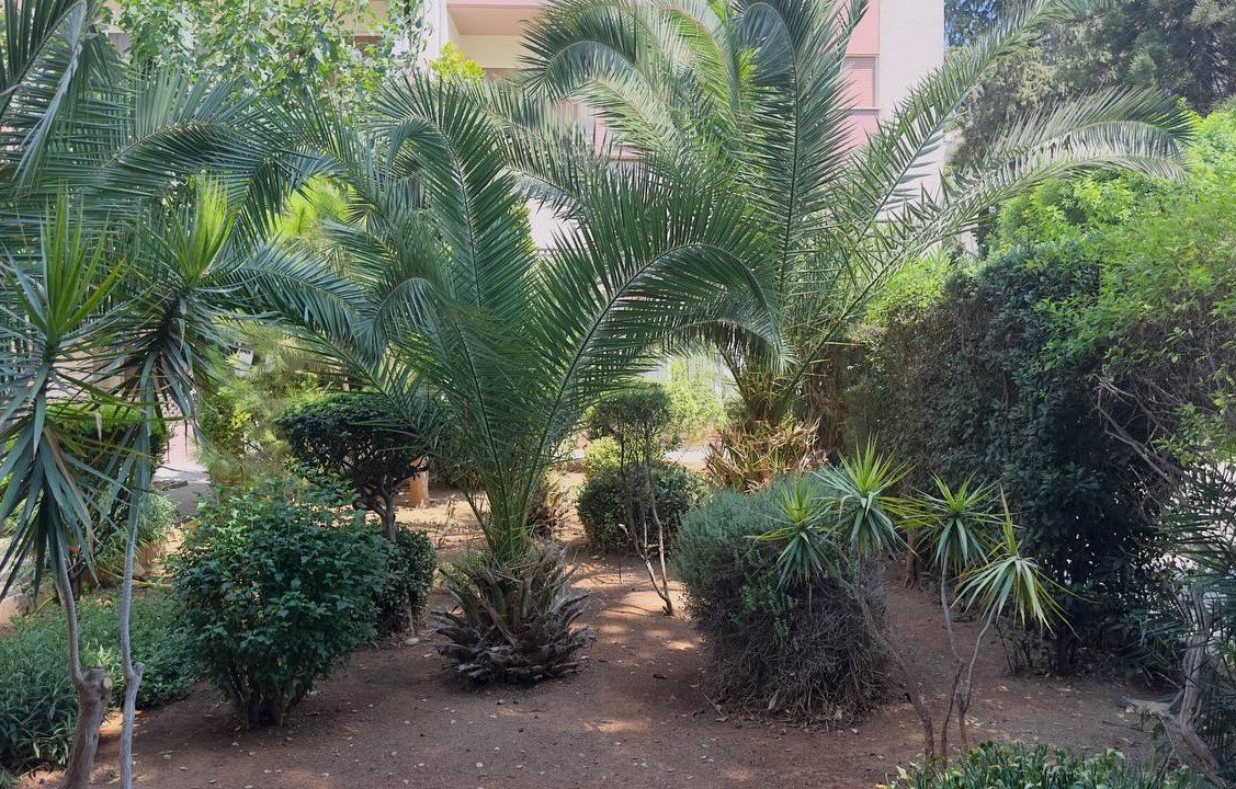 3 BR Apartment in Agios Athanasios, Limassol photo 21