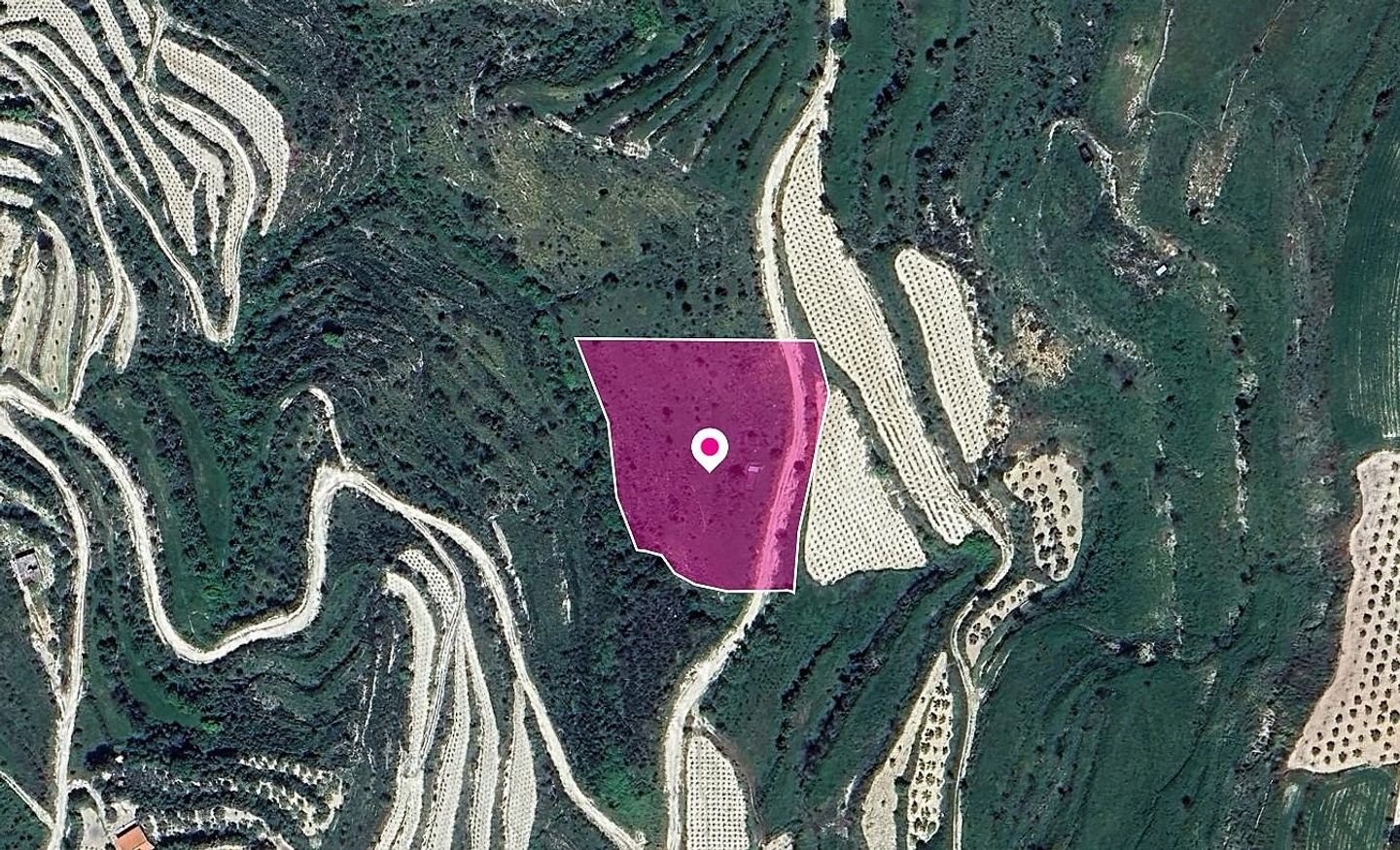 Field, Koili, Paphos photo 2